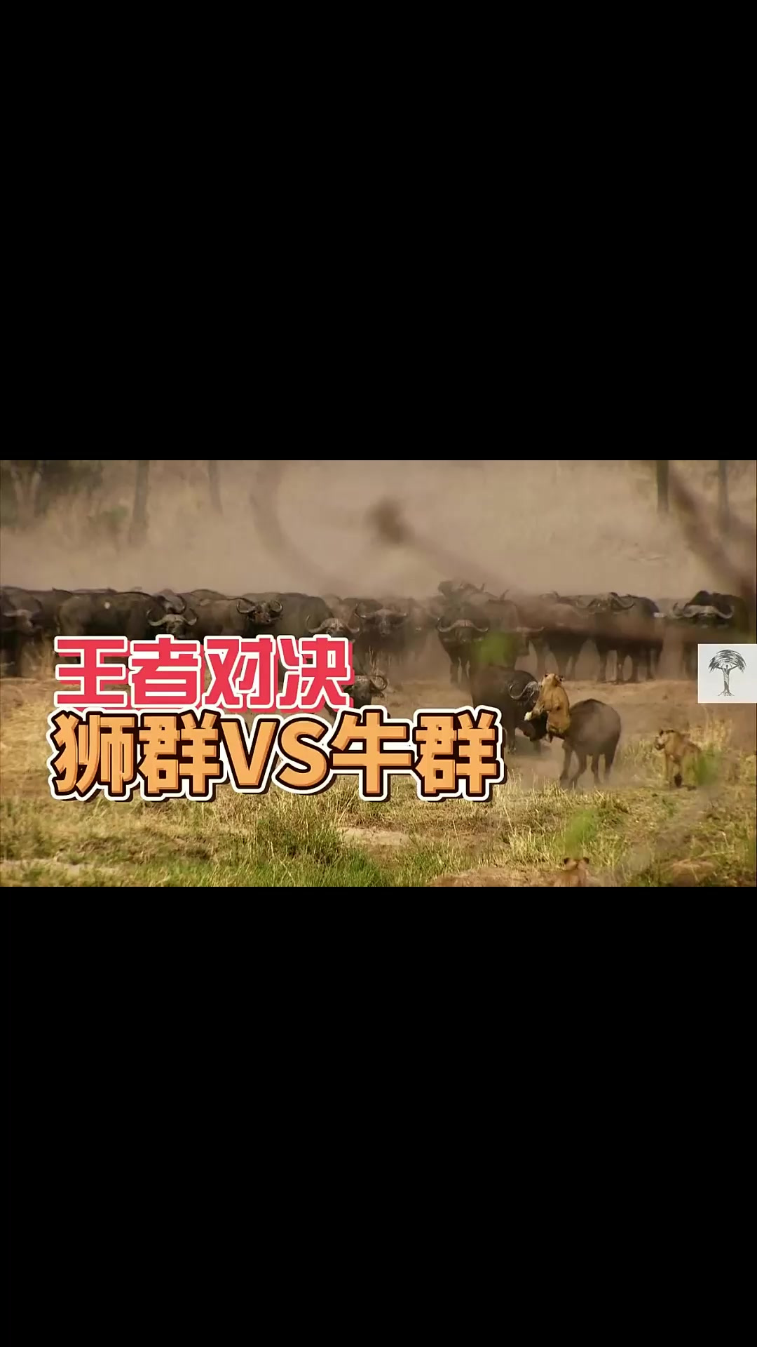 乐鱼官方登录入口-关键对决：季后赛第一轮谁将胜出？的简单介绍