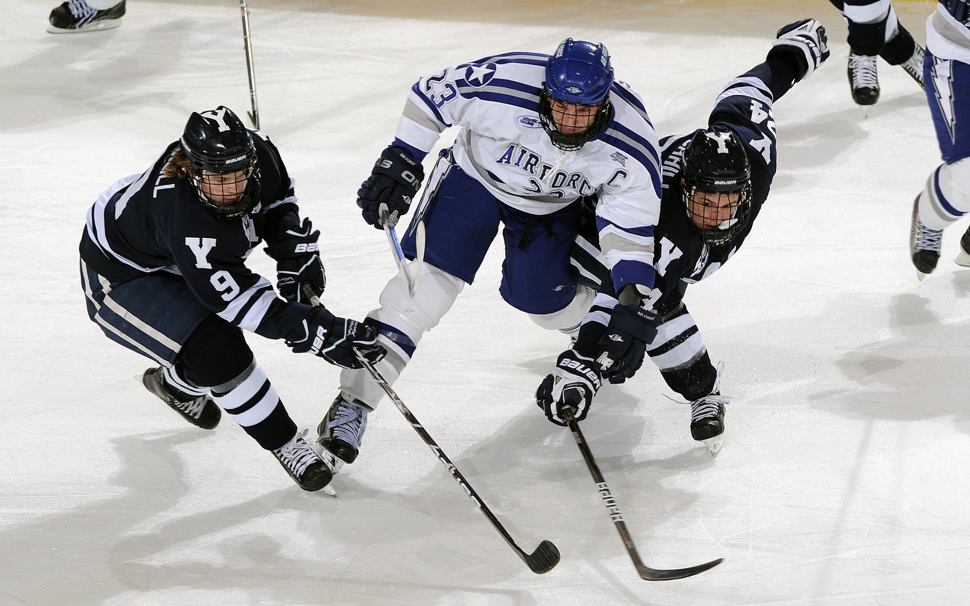 高校体育专业课程体系改革研究，高校体育专业课程体系改革研究方向