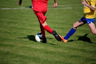 乐鱼体育登录-国家女篮训练日程公开每日训练内容紧张高效，国家队女篮在哪里训练